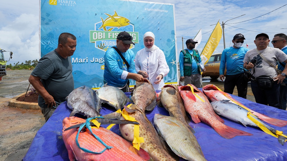Obi fishing ikan tangkapan Obi fishing ikan tangkapan